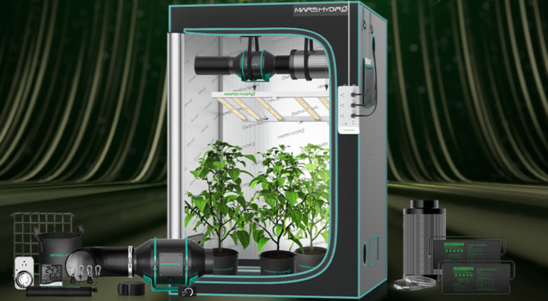 A Comprehensive guide to buy a grow tent for your indoor garden
