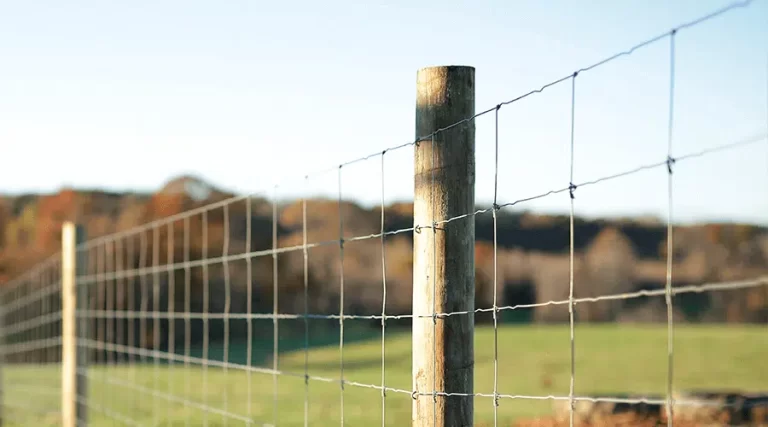 How to Choose the Right Deer Fencing Company