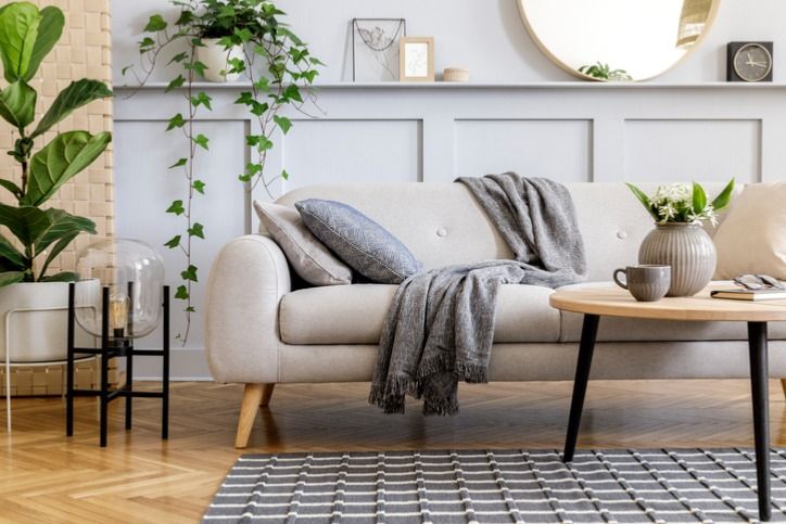 Simple Strategies for Making Apartment Living Feel Like Home